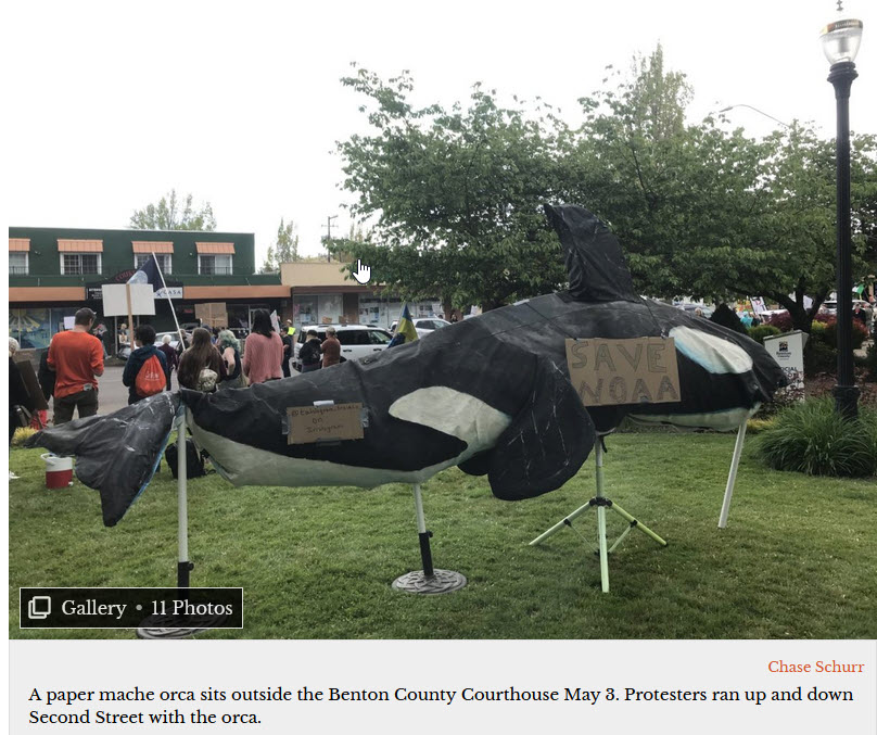 Multiple protests land at Benton County Courthouse