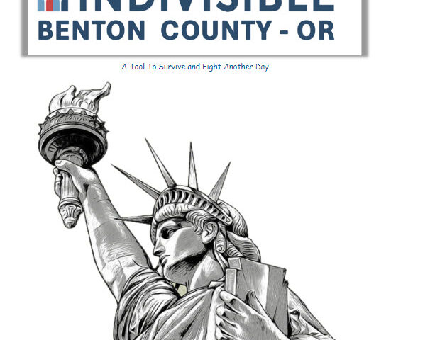 Sunday Edition Newsletter