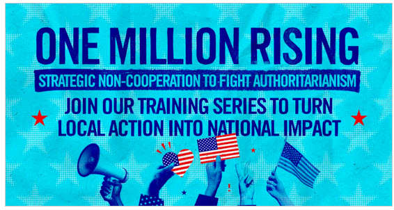 Strategic Non-Cooperation to Fight Authoritarianism