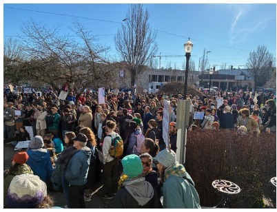 Indivisible Benton County Recap Gen. Mtg. & CHS/CVHS walkout